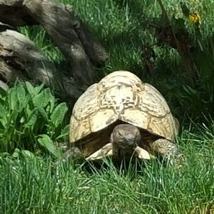 Meet your Posher, Lorie